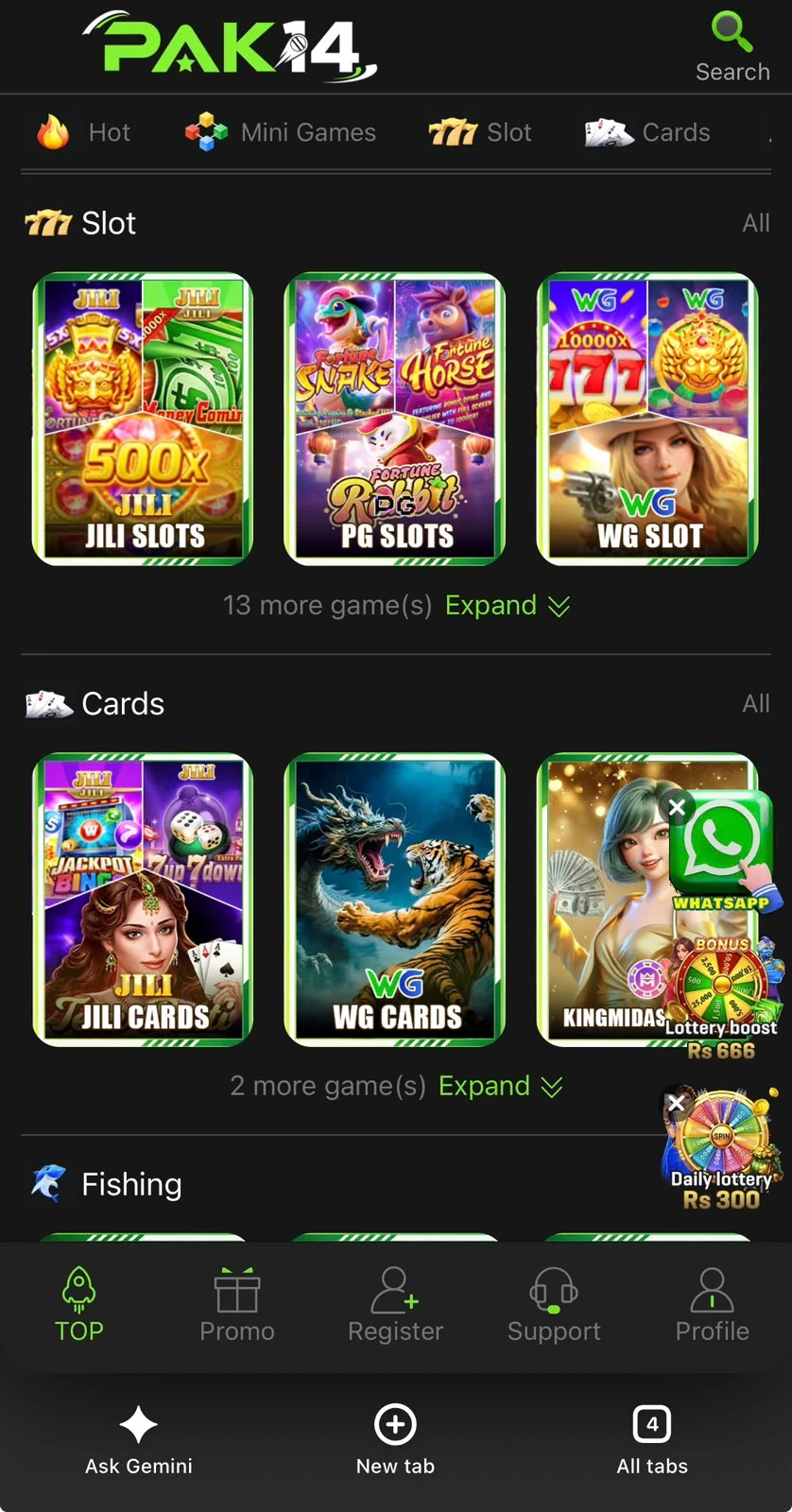 PAK14 Game